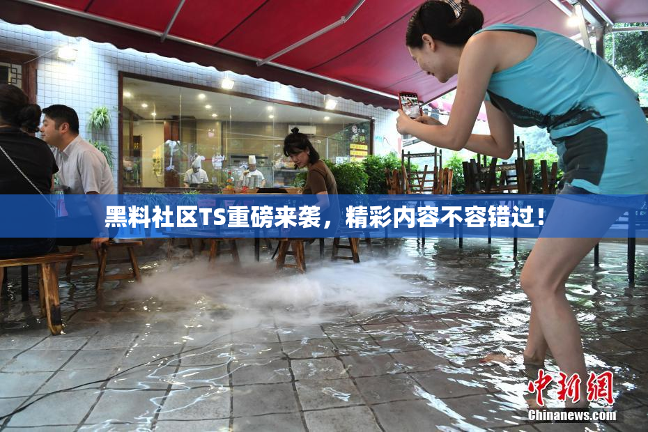 黑料社区TS重磅来袭，精彩内容不容错过！