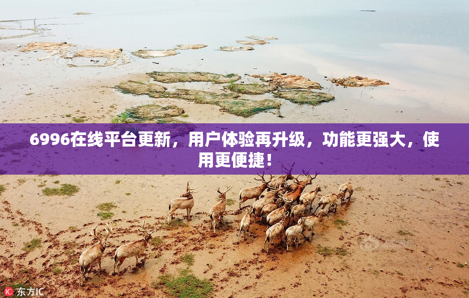 6996在线平台更新，用户体验再升级，功能更强大，使用更便捷！