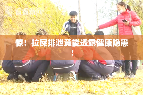 惊！拉屎排泄竟能透露健康隐患！