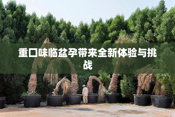 重囗味临盆孕带来全新体验与挑战