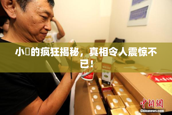 小泬的疯狂揭秘，真相令人震惊不已！
