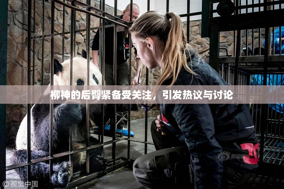 柳神的后臀紧备受关注，引发热议与讨论