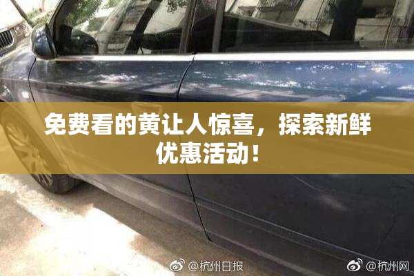 免费看的黄让人惊喜，探索新鲜优惠活动！