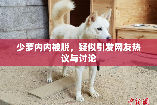 少萝内内被脱，疑似引发网友热议与讨论