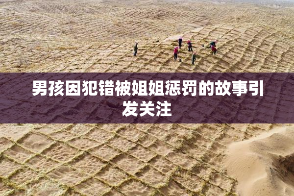 男孩因犯错被姐姐惩罚的故事引发关注
