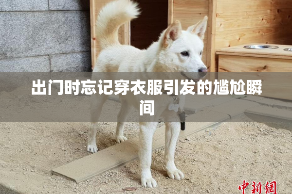 出门时忘记穿衣服引发的尴尬瞬间