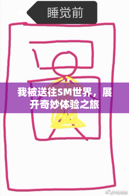 我被送往SM世界，展开奇妙体验之旅