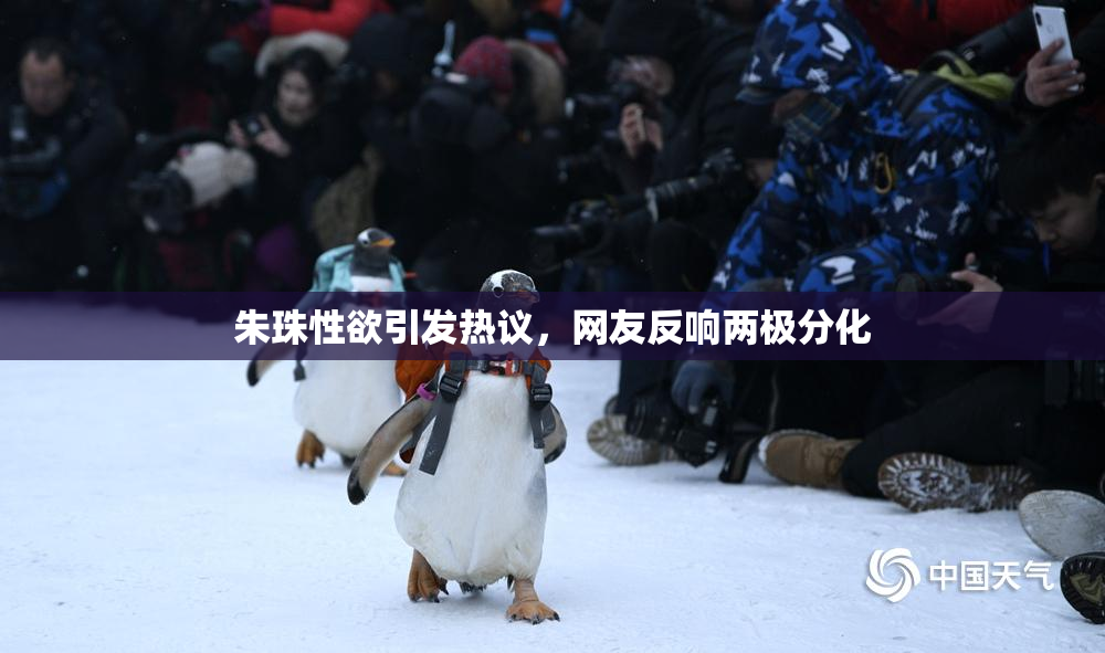 朱珠性欲引发热议，网友反响两极分化