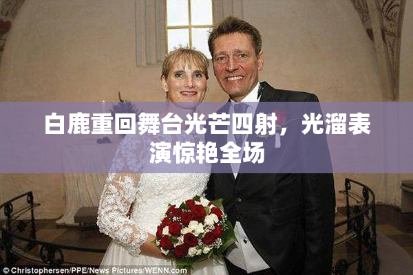 白鹿重回舞台光芒四射，光溜表演惊艳全场