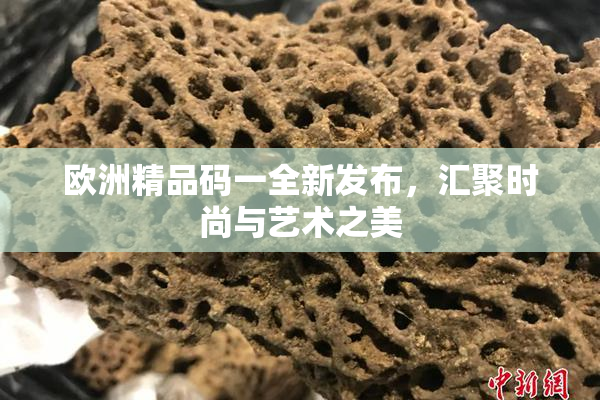 欧洲精品码一全新发布，汇聚时尚与艺术之美
