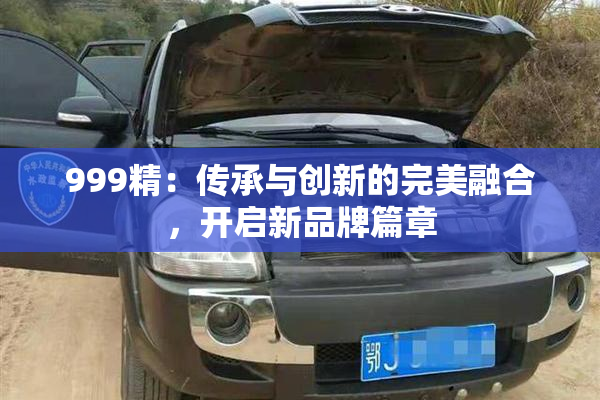 999精：传承与创新的完美融合，开启新品牌篇章