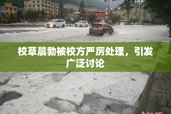校草晨勃被校方严厉处理，引发广泛讨论