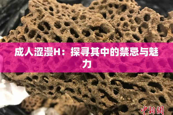 成人涩漫H：探寻其中的禁忌与魅力