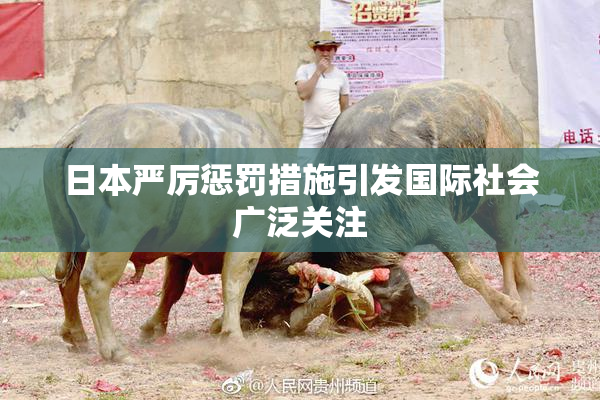 日本严厉惩罚措施引发国际社会广泛关注
