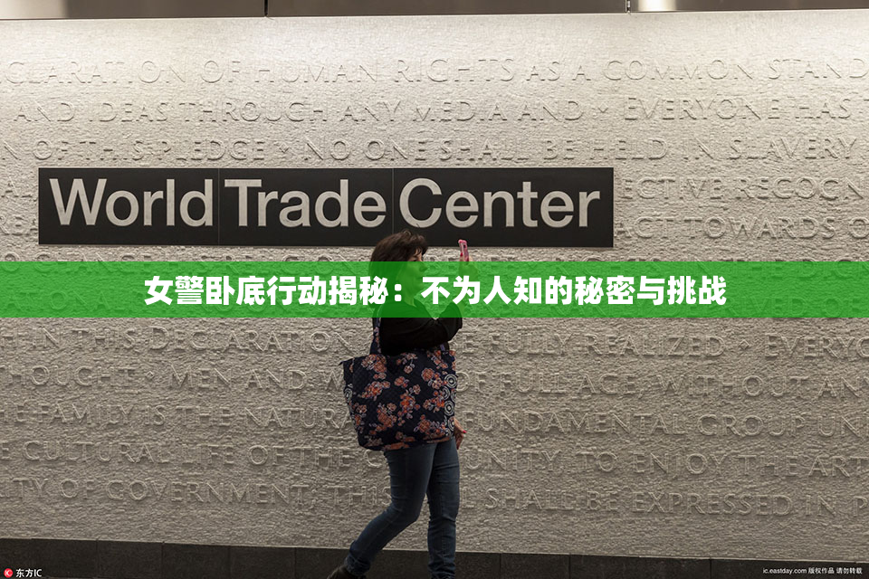 女警卧底行动揭秘：不为人知的秘密与挑战