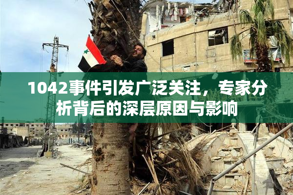 1042事件引发广泛关注，专家分析背后的深层原因与影响