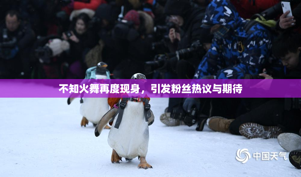 不知火舞再度现身，引发粉丝热议与期待