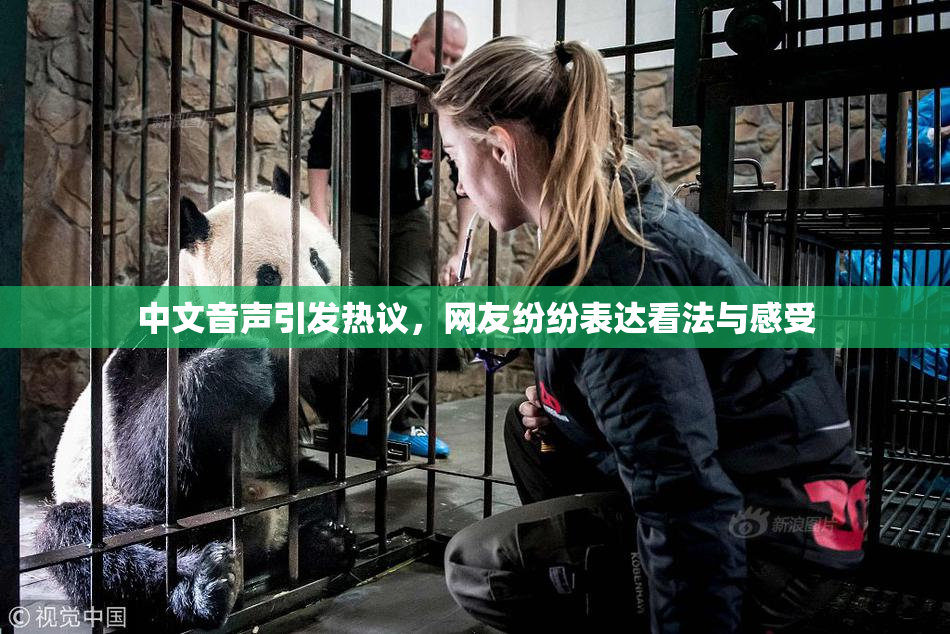 中文音声引发热议，网友纷纷表达看法与感受