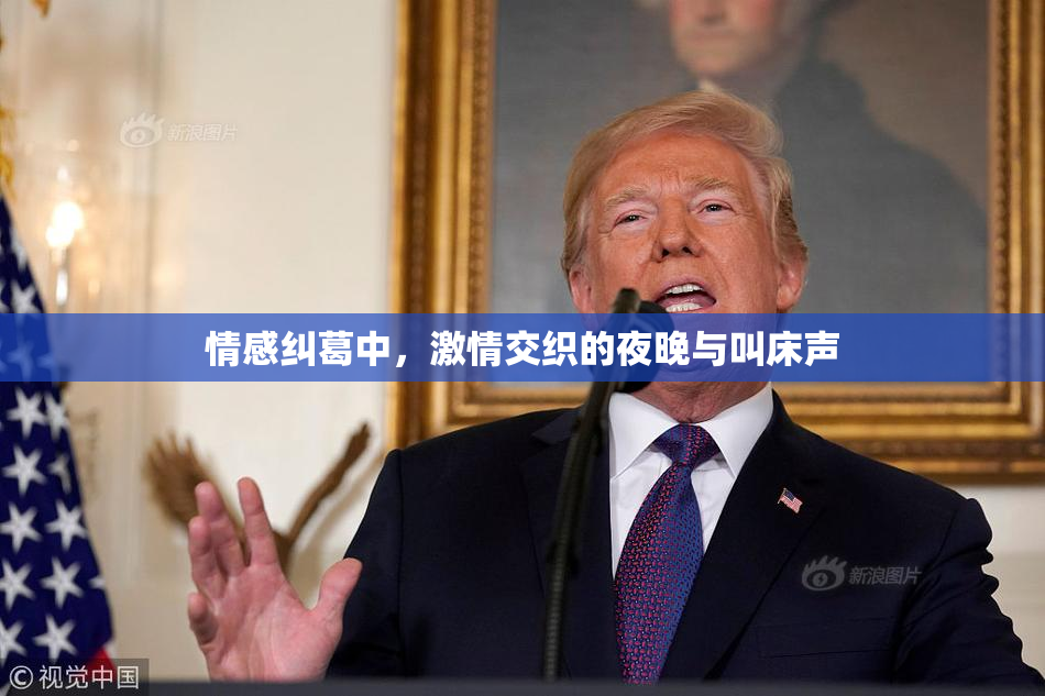 情感纠葛中，激情交织的夜晚与叫床声