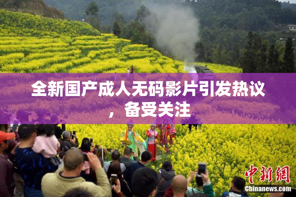 全新国产成人无码影片引发热议，备受关注