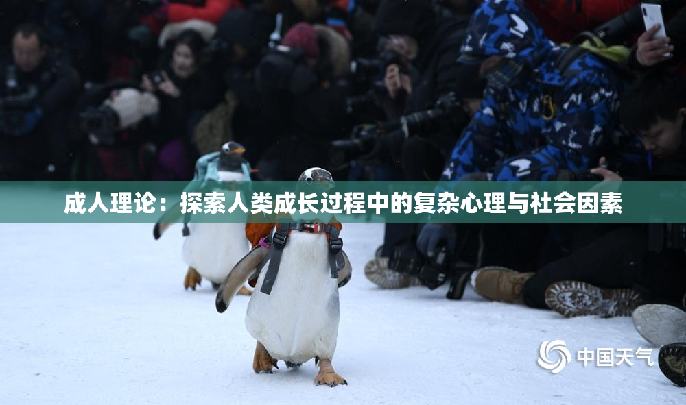 成人理论：探索人类成长过程中的复杂心理与社会因素