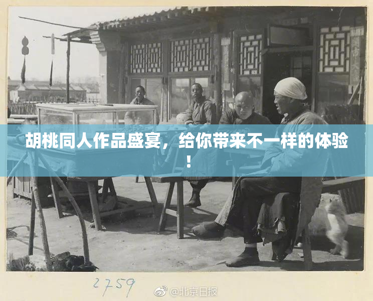 胡桃同人作品盛宴，给你带来不一样的体验！