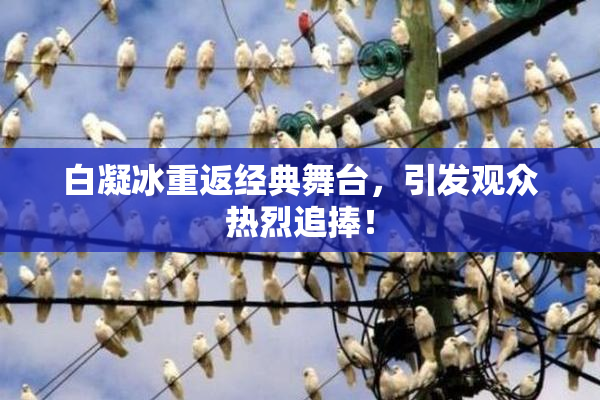 白凝冰重返经典舞台，引发观众热烈追捧！