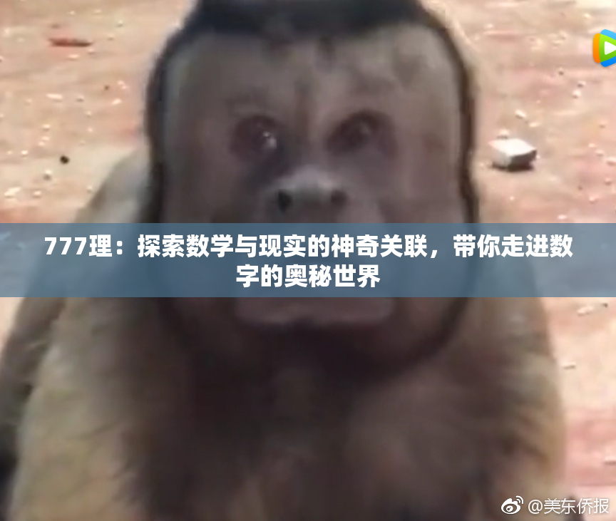 777理：探索数学与现实的神奇关联，带你走进数字的奥秘世界