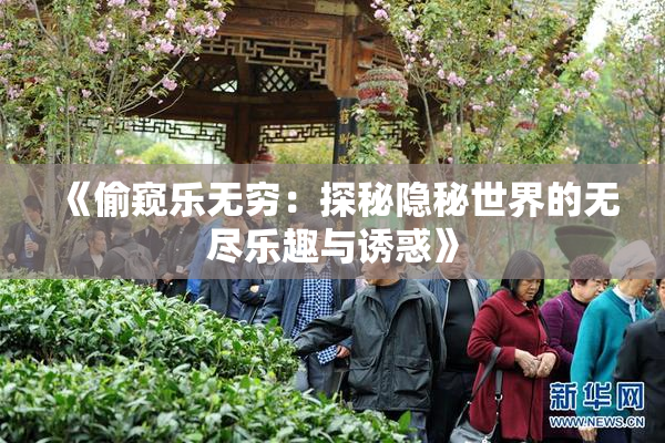 《偷窥乐无穷：探秘隐秘世界的无尽乐趣与诱惑》