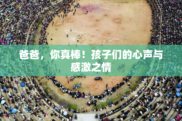 爸爸，你真棒！孩子们的心声与感激之情