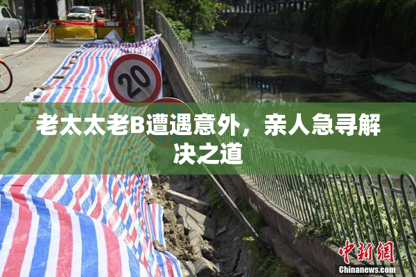 老太太老B遭遇意外，亲人急寻解决之道