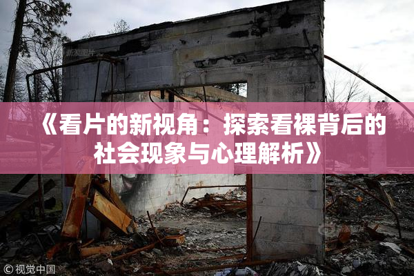 《看片的新视角：探索看裸背后的社会现象与心理解析》