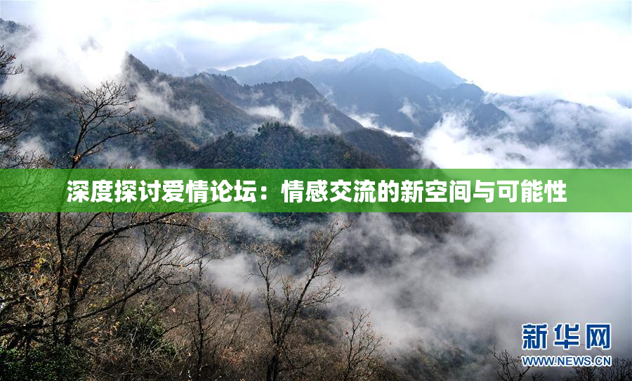 深度探讨爱情论坛：情感交流的新空间与可能性