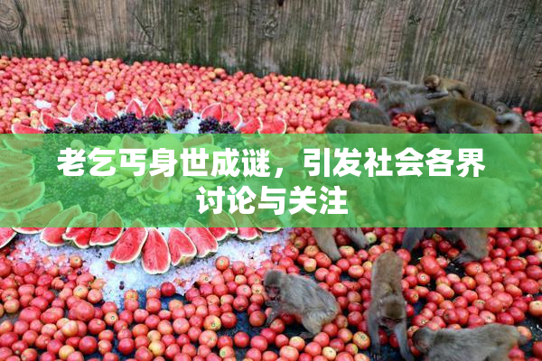 老乞丐身世成谜，引发社会各界讨论与关注