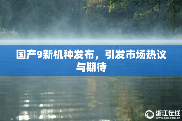 国产9新机种发布，引发市场热议与期待