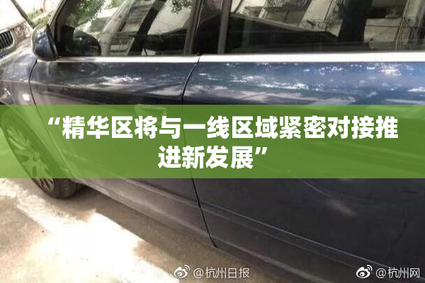“精华区将与一线区域紧密对接推进新发展”