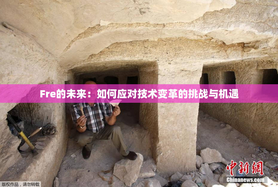 Fre的未来：如何应对技术变革的挑战与机遇