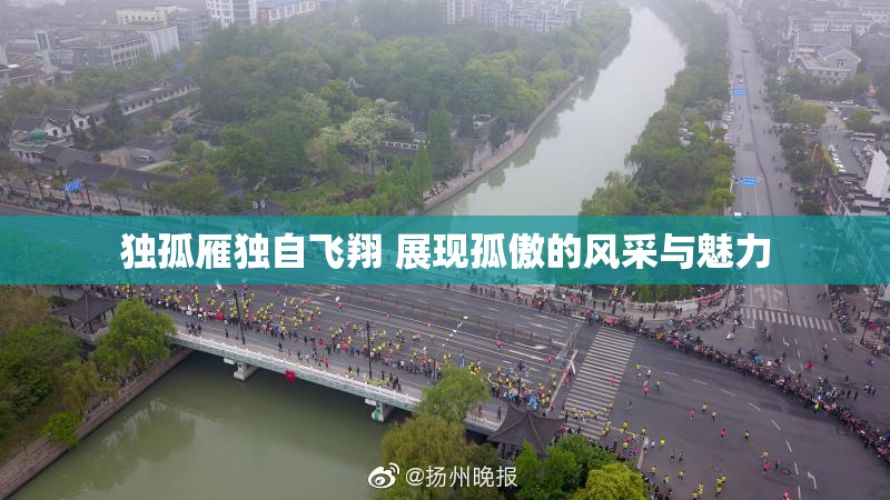 独孤雁独自飞翔 展现孤傲的风采与魅力