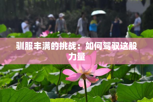 驯服丰满的挑战：如何驾驭这股力量