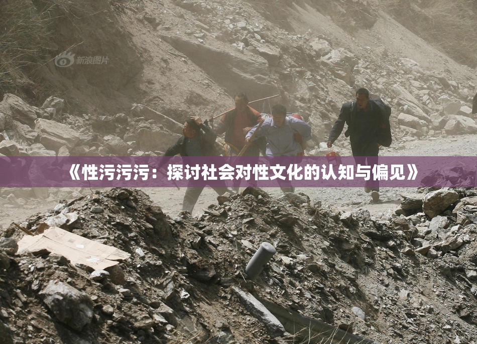 《性污污污：探讨社会对性文化的认知与偏见》