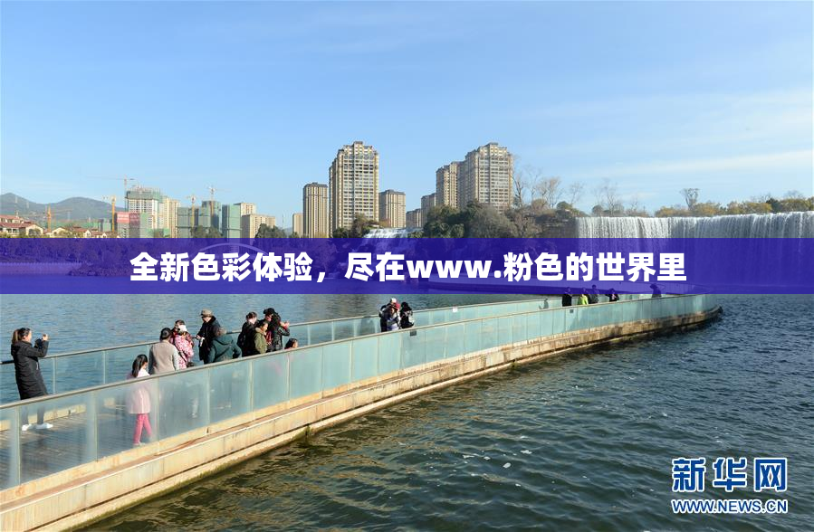 全新色彩体验，尽在www.粉色的世界里