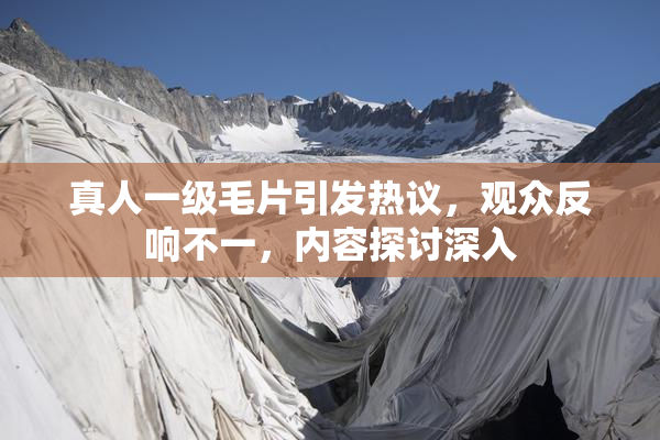 真人一级毛片引发热议，观众反响不一，内容探讨深入