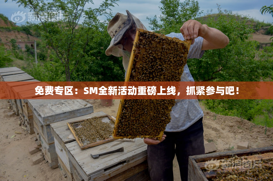 免费专区：SM全新活动重磅上线，抓紧参与吧！