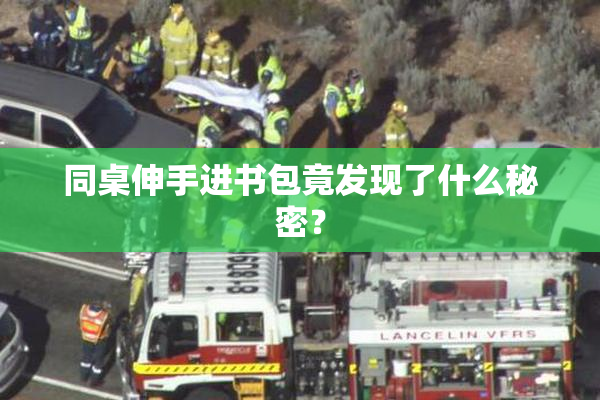 同桌伸手进书包竟发现了什么秘密？