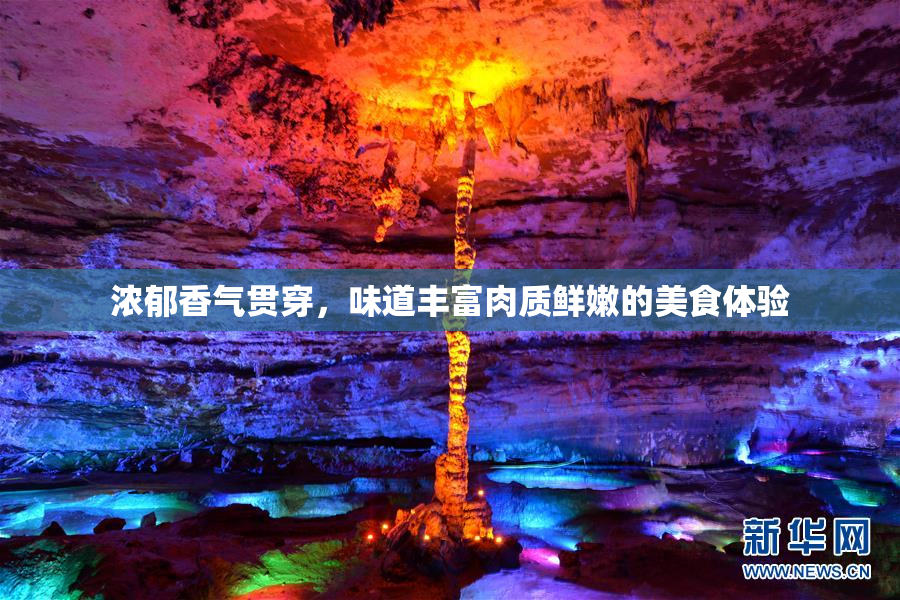 浓郁香气贯穿，味道丰富肉质鲜嫩的美食体验