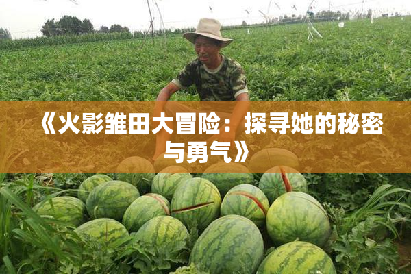 《火影雏田大冒险：探寻她的秘密与勇气》