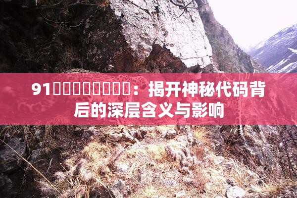 91❌‌❌‌❌‌❌‌：揭开神秘代码背后的深层含义与影响