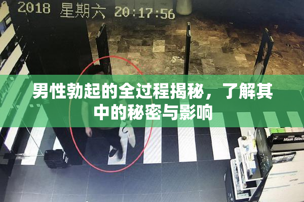 男性勃起的全过程揭秘，了解其中的秘密与影响