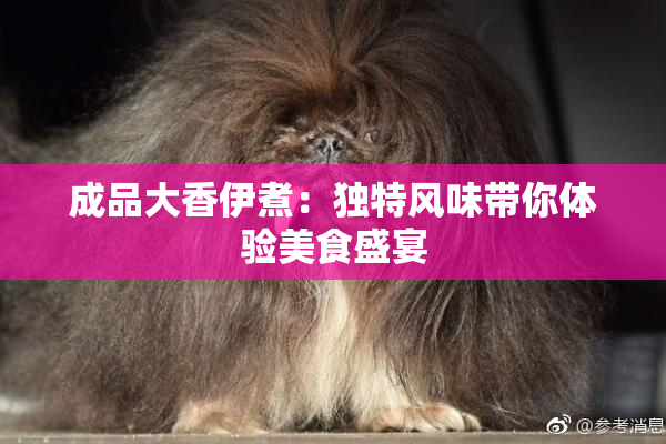 成品大香伊煮：独特风味带你体验美食盛宴