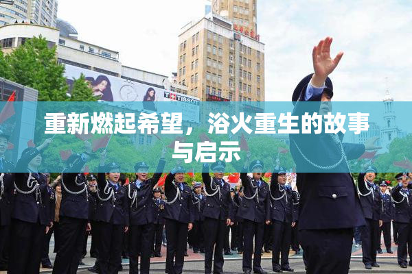 重新燃起希望，浴火重生的故事与启示